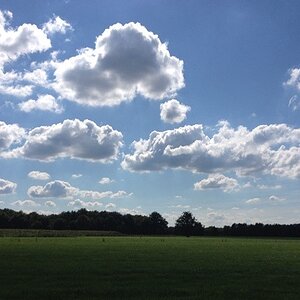 Grassland and Sky