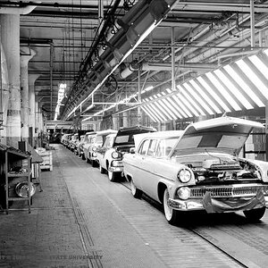 1955 Fords