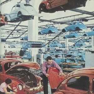 1959 VW Beetles
