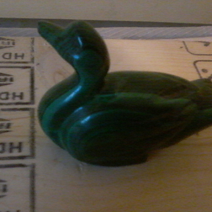Malachite duck 2