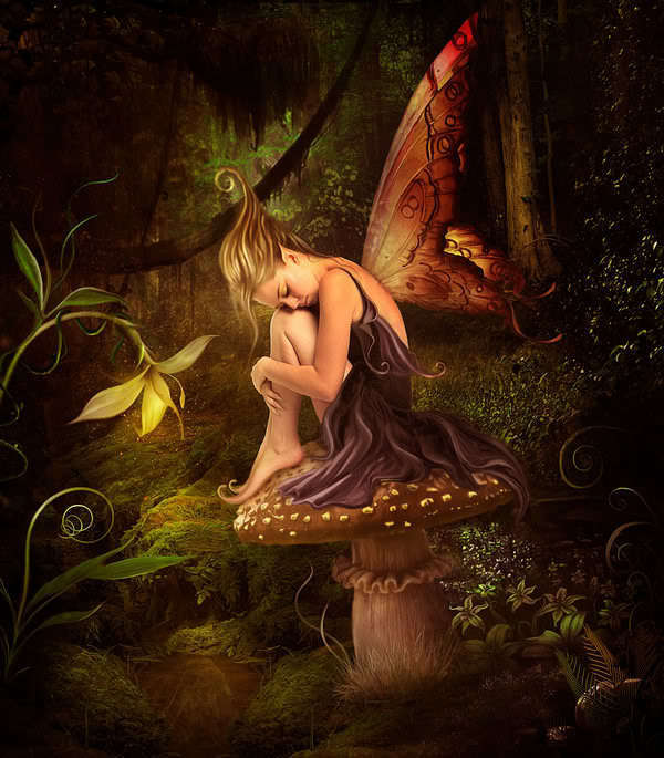 a fairy and her toadstool