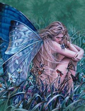 butterfly fairy