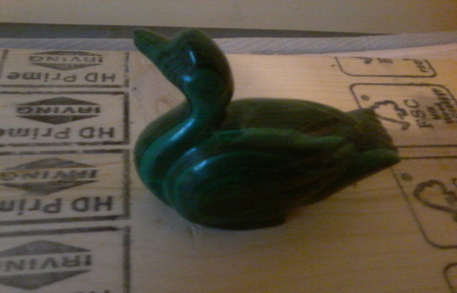 Malachite duck 2
