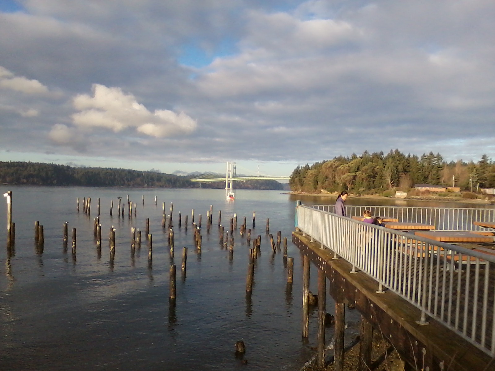 Puget Sound And Tacoma Narrows Bridge